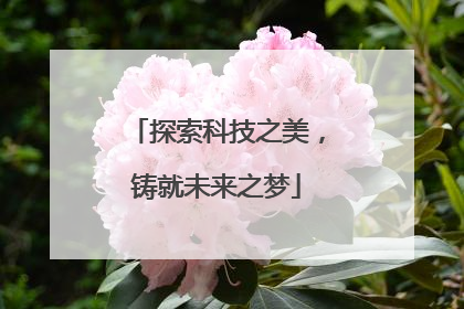 探索科技之美，铸就未来之梦