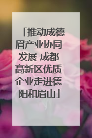 推动成德眉产业协同发展 成都高新区优质企业走进德阳和眉山