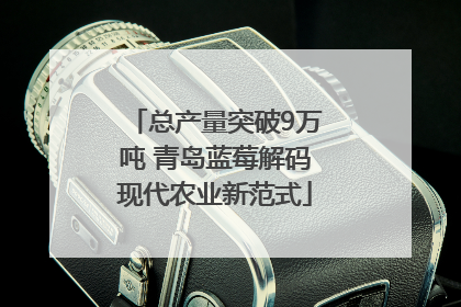 总产量突破9万吨 青岛蓝莓解码现代农业新范式