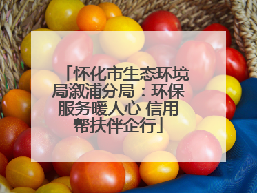 怀化市生态环境局溆浦分局：环保服务暖人心 信用帮扶伴企行