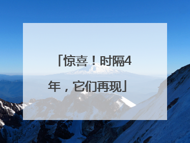 惊喜！时隔4年，它们再现