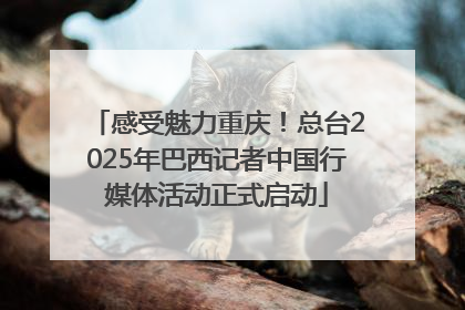 感受魅力重庆！总台2025年巴西记者中国行媒体活动正式启动