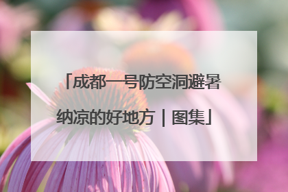 成都一号防空洞避暑纳凉的好地方｜图集