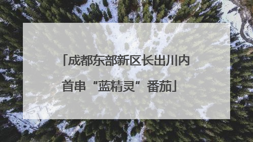 成都东部新区长出川内首串“蓝精灵”番茄