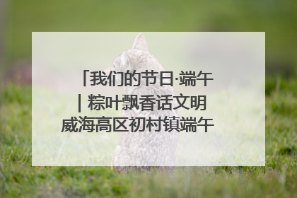 我们的节日·端午｜粽叶飘香话文明 威海高区初村镇端午系列活动亮点纷呈
