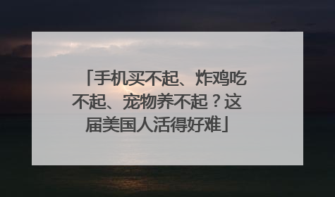 手机买不起、炸鸡吃不起、宠物养不起？这届美国人活得好难