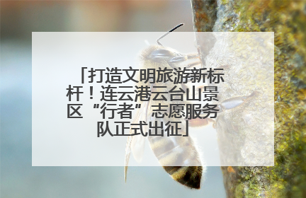 打造文明旅游新标杆！连云港云台山景区“行者”志愿服务队正式出征