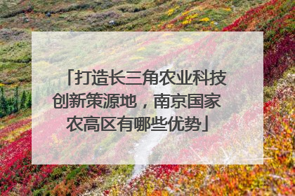 打造长三角农业科技创新策源地，南京国家农高区有哪些优势