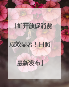 扩开放促消费成效显著！日照最新发布