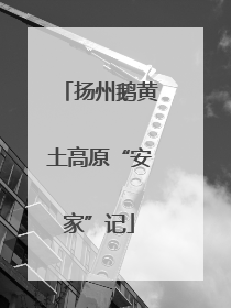 扬州鹅黄土高原“安家”记