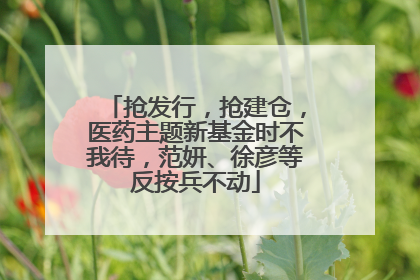 抢发行，抢建仓，医药主题新基金时不我待，范妍、徐彦等反按兵不动