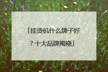 挂烫机什么牌子好？十大品牌揭晓