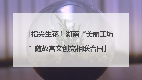 指尖生花！湖南“美丽工坊”随故宫文创亮相联合国