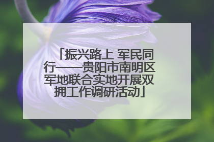 振兴路上 军民同行——贵阳市南明区军地联合实地开展双拥工作调研活动