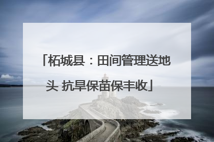 柘城县：田间管理送地头 抗旱保苗保丰收