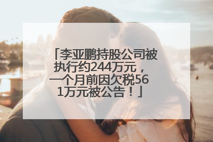 李亚鹏持股公司被执行约244万元，一个月前因欠税561万元被公告！