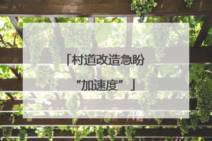 村道改造急盼“加速度”