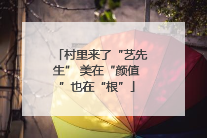 村里来了“艺先生” 美在“颜值”也在“根”