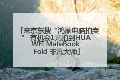 来京东搜“鸿蒙电脑拍卖” 有机会1元拍到HUAWEI MateBook Fold 非凡大师