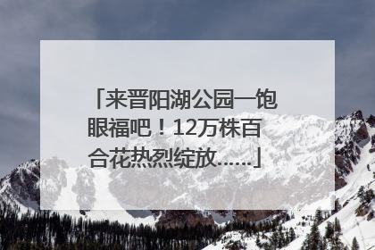 来晋阳湖公园一饱眼福吧！12万株百合花热烈绽放……