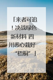 来者可追！决战绿色新材料 四川悉心栽好“梧桐”