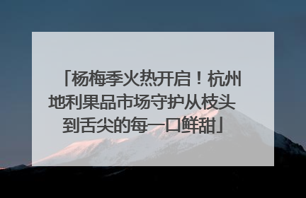 杨梅季火热开启！杭州地利果品市场守护从枝头到舌尖的每一口鲜甜