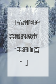 杭州呵护奔跑的城市“毛细血管”