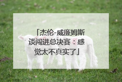 杰伦-威廉姆斯谈闯进总决赛：感觉太不真实了