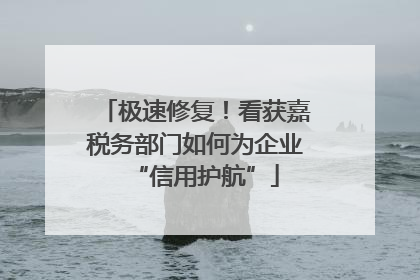 极速修复！看获嘉税务部门如何为企业“信用护航”