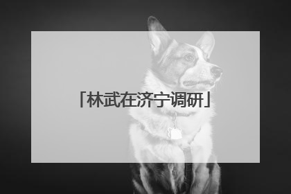 林武在济宁调研