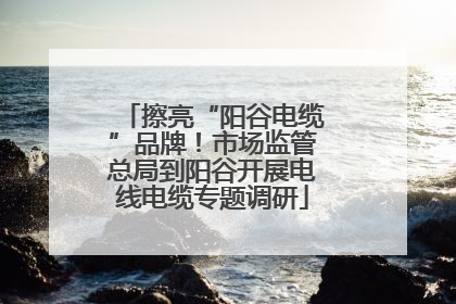 擦亮“阳谷电缆”品牌！市场监管总局到阳谷开展电线电缆专题调研