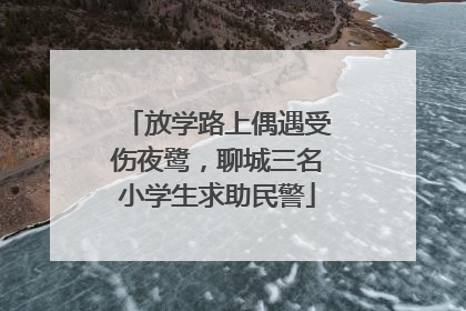 放学路上偶遇受伤夜鹭，聊城三名小学生求助民警