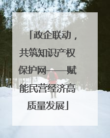 政企联动，共筑知识产权保护网——赋能民营经济高质量发展