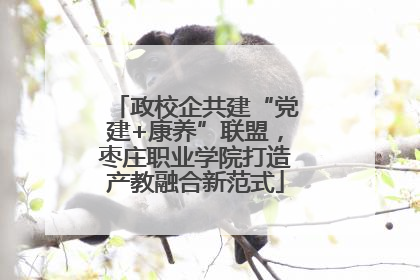 政校企共建“党建+康养”联盟，枣庄职业学院打造产教融合新范式