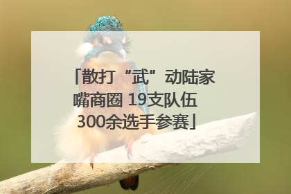 散打“武”动陆家嘴商圈 19支队伍300余选手参赛