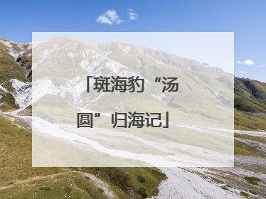 斑海豹“汤圆”归海记