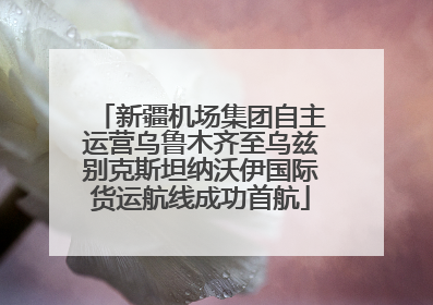 新疆机场集团自主运营乌鲁木齐至乌兹别克斯坦纳沃伊国际货运航线成功首航