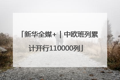 新华全媒+｜中欧班列累计开行110000列