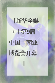 新华全媒+丨第9届中国—南亚博览会开幕