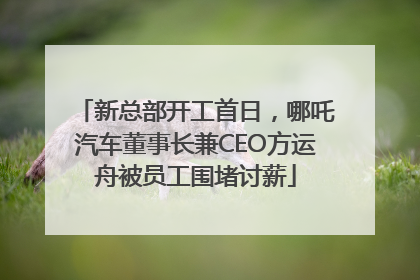 新总部开工首日，哪吒汽车董事长兼CEO方运舟被员工围堵讨薪