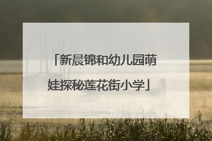 新晨锦和幼儿园萌娃探秘莲花街小学