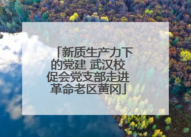 新质生产力下的党建 武汉校促会党支部走进革命老区黄冈