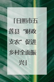 日照市五莲县“财政支农”促进乡村全面振兴