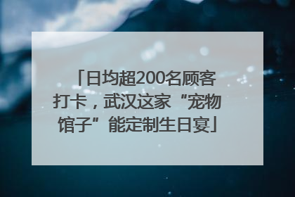 日均超200名顾客打卡，武汉这家“宠物馆子”能定制生日宴