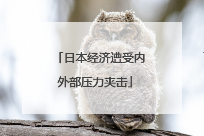 日本经济遭受内外部压力夹击
