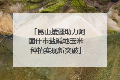 昆山援疆助力阿图什市盐碱地玉米种植实现新突破