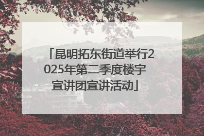 昆明拓东街道举行2025年第二季度楼宇宣讲团宣讲活动