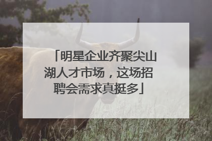 明星企业齐聚尖山湖人才市场，这场招聘会需求真挺多