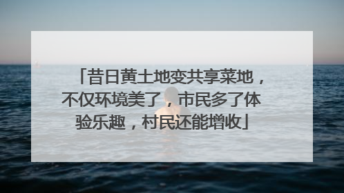 昔日黄土地变共享菜地，不仅环境美了，市民多了体验乐趣，村民还能增收
