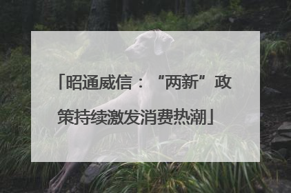 昭通威信：“两新”政策持续激发消费热潮